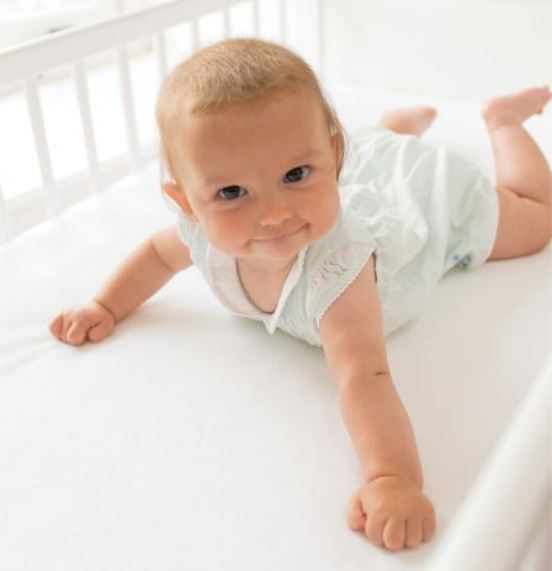 Mattress / Bed Protectors – Lizzie's Real Nappies