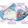 Motherease Wizard UNO Onesize Reusable Nappy (Dry)