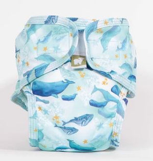 Little Lamb swim nappy 25% OFF